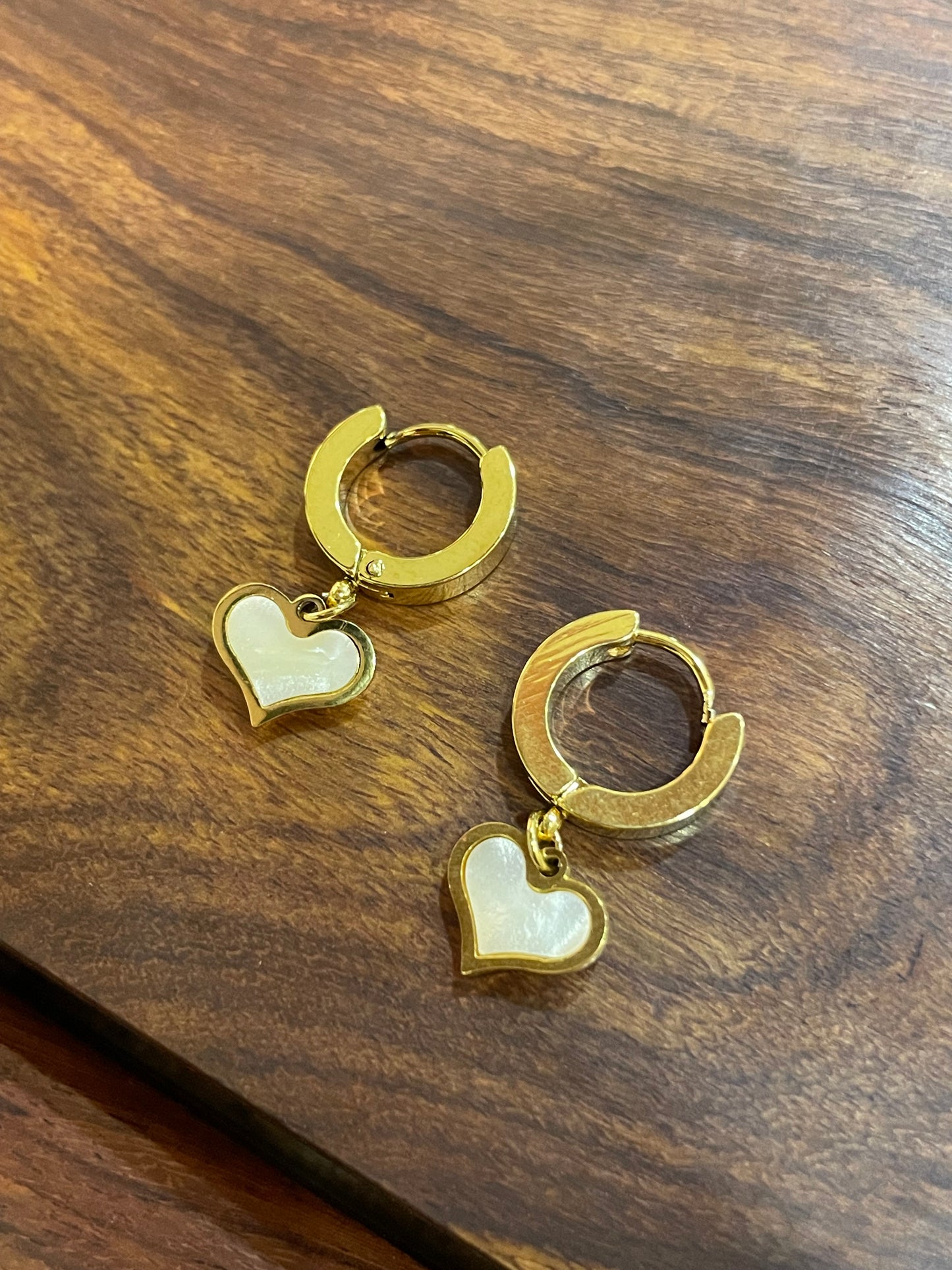 Anti Tarnish Earring